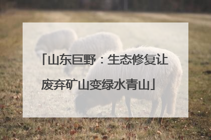 山东巨野：生态修复让废弃矿山变绿水青山