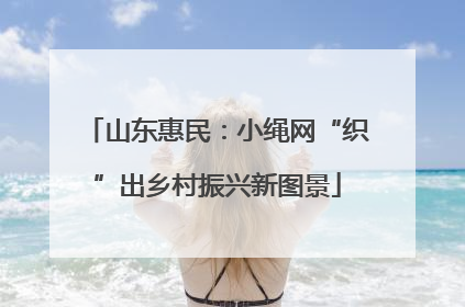 山东惠民：小绳网“织”出乡村振兴新图景