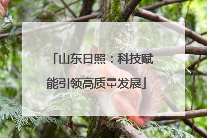 山东日照：科技赋能引领高质量发展