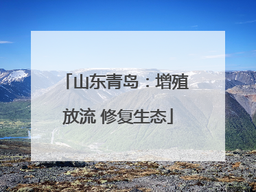 山东青岛：增殖放流 修复生态