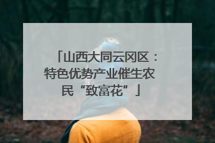 山西大同云冈区：特色优势产业催生农民“致富花”