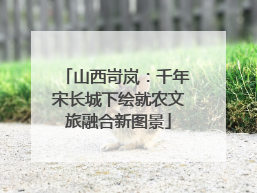 山西岢岚：千年宋长城下绘就农文旅融合新图景