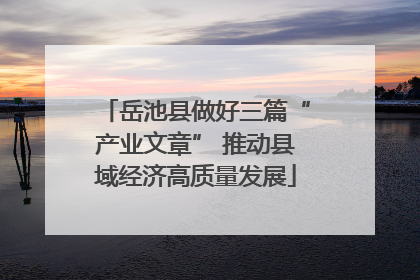 岳池县做好三篇“产业文章” 推动县域经济高质量发展