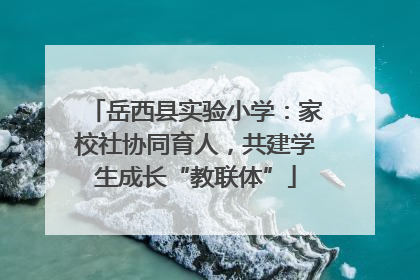 岳西县实验小学：家校社协同育人，共建学生成长“教联体”