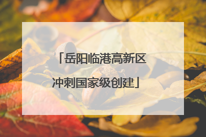 岳阳临港高新区冲刺国家级创建