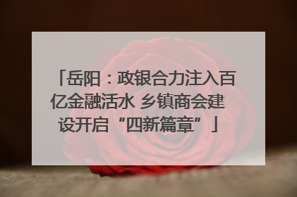 岳阳：政银合力注入百亿金融活水 乡镇商会建设开启“四新篇章”