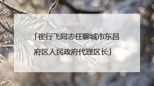 崔行飞同志任聊城市东昌府区人民政府代理区长
