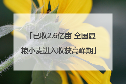 已收2.6亿亩 全国夏粮小麦进入收获高峰期