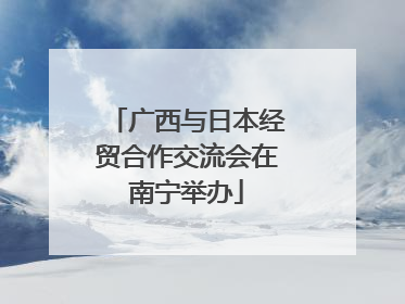 广西与日本经贸合作交流会在南宁举办