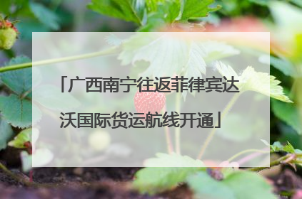 广西南宁往返菲律宾达沃国际货运航线开通