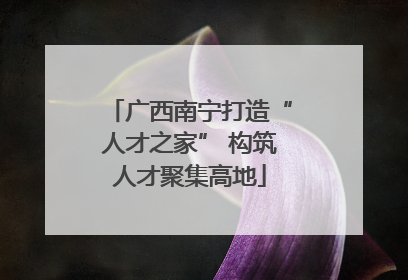 广西南宁打造“人才之家” 构筑人才聚集高地