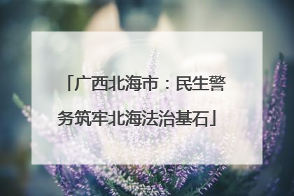 广西北海市：民生警务筑牢北海法治基石
