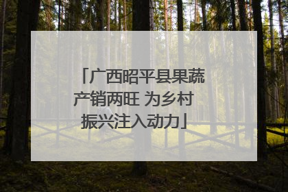 广西昭平县果蔬产销两旺 为乡村振兴注入动力