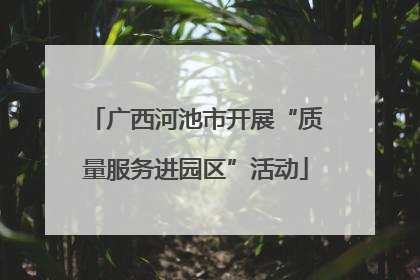 广西河池市开展“质量服务进园区”活动