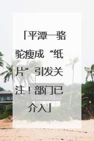 平潭一骆驼瘦成“纸片”引发关注！部门已介入