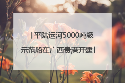 平陆运河5000吨级示范船在广西贵港开建