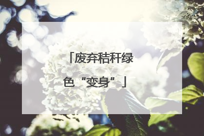 废弃秸秆绿色“变身”