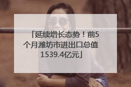 延续增长态势！前5个月潍坊市进出口总值1539.4亿元