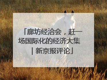 廊坊经洽会，赶一场国际化的经济大集｜新京报评论