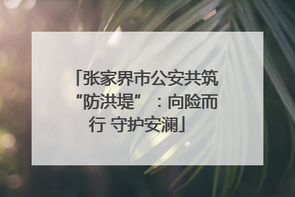 张家界市公安共筑“防洪堤”：向险而行 守护安澜