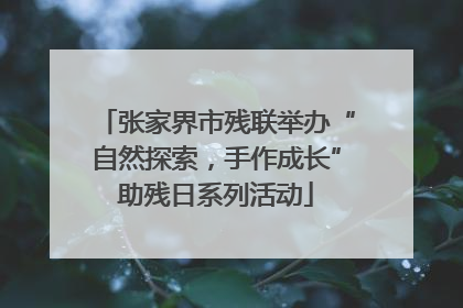 张家界市残联举办“自然探索，手作成长”助残日系列活动