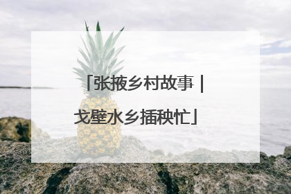 张掖乡村故事｜戈壁水乡插秧忙