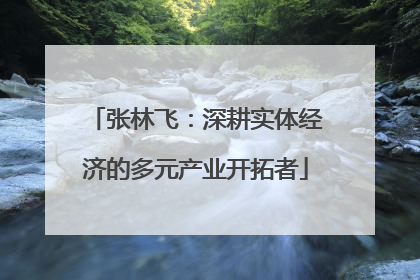 张林飞：深耕实体经济的多元产业开拓者