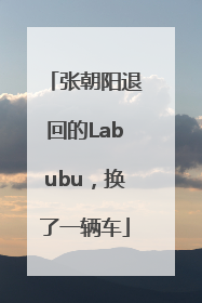 张朝阳退回的Labubu，换了一辆车