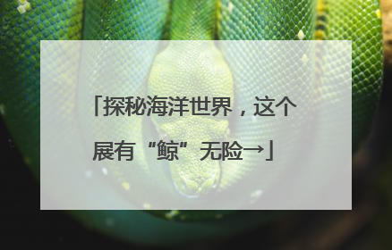 探秘海洋世界，这个展有“鲸”无险→