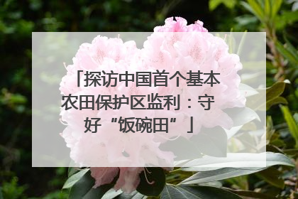 探访中国首个基本农田保护区监利：守好“饭碗田”