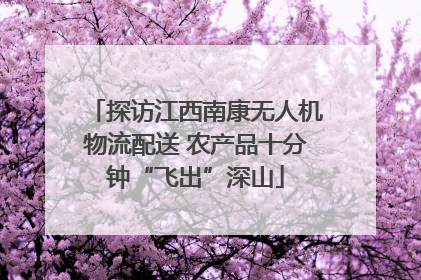 探访江西南康无人机物流配送 农产品十分钟“飞出”深山