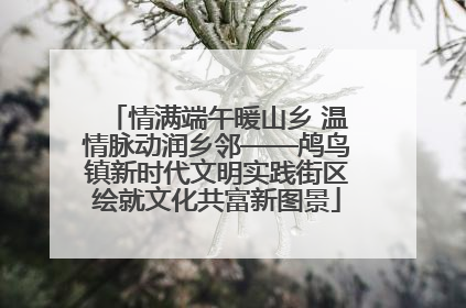 情满端午暖山乡 温情脉动润乡邻——鸬鸟镇新时代文明实践街区绘就文化共富新图景