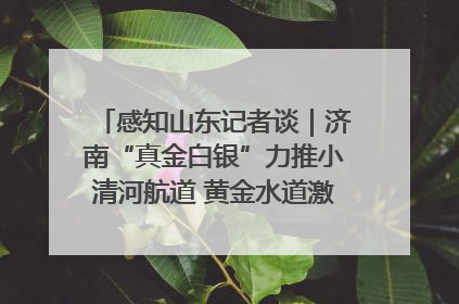 感知山东记者谈｜济南“真金白银”力推小清河航道 黄金水道激活区域经济新动能
