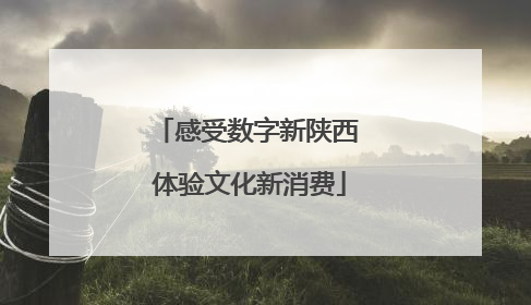 感受数字新陕西 体验文化新消费