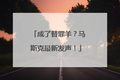 成了替罪羊？马斯克最新发声！