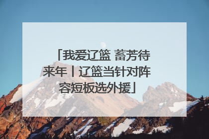 我爱辽篮 蓄芳待来年丨辽篮当针对阵容短板选外援