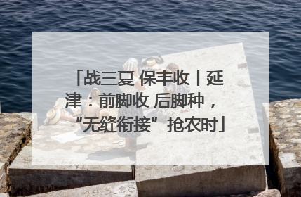 战三夏 保丰收丨延津：前脚收 后脚种，“无缝衔接”抢农时