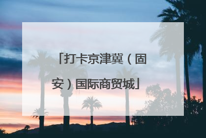 打卡京津冀（固安）国际商贸城