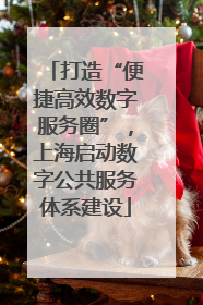 打造“便捷高效数字服务圈”，上海启动数字公共服务体系建设