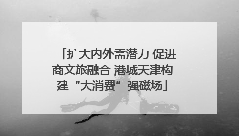 扩大内外需潜力 促进商文旅融合 港城天津构建“大消费”强磁场