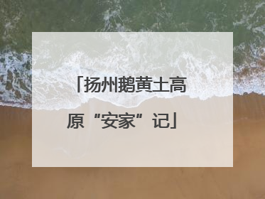 扬州鹅黄土高原“安家”记