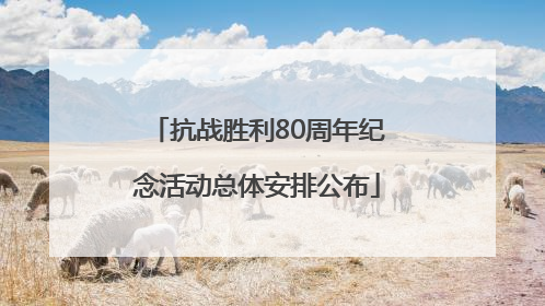 抗战胜利80周年纪念活动总体安排公布