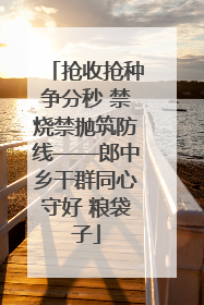 抢收抢种争分秒 禁烧禁抛筑防线——郎中乡干群同心守好 粮袋子