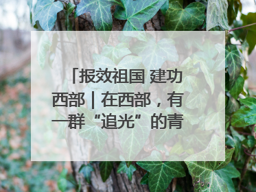 报效祖国 建功西部｜在西部，有一群“追光”的青年科学家
