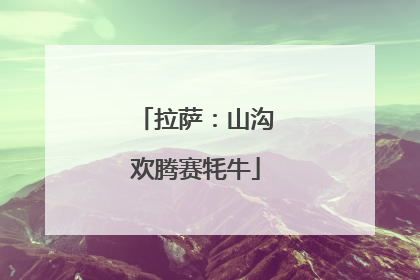 拉萨：山沟欢腾赛牦牛