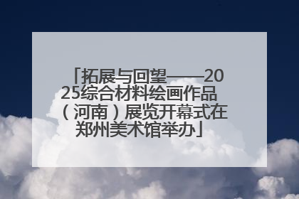 拓展与回望——2025综合材料绘画作品（河南）展览开幕式在郑州美术馆举办