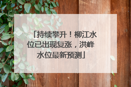 持续攀升！柳江水位已出现复涨，洪峰水位最新预测