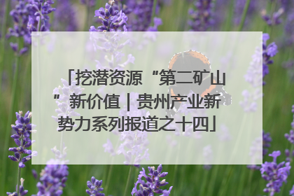 挖潜资源“第二矿山”新价值｜贵州产业新势力系列报道之十四