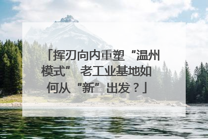 挥刃向内重塑“温州模式” 老工业基地如何从“新”出发？