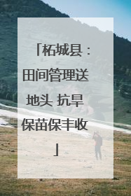 柘城县：田间管理送地头 抗旱保苗保丰收